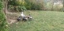 1a40b532-fce8-48ed-85ea-71f4bd41cb73photo