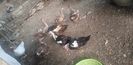 received_1917575835280302
