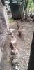 received_680531943591708