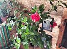 IMG20231012165127