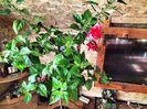 IMG20231012165122
