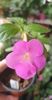 received_1567138224032030