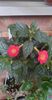 received_701922774852558