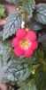received_999548014681058