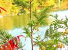 Lake Pink, Gatineau 15