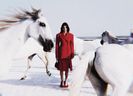༆16Oct،23=͟͟͞♡　　·◊· E̮x̮t̮r̮a̮: ᖽᐸendall ‹Stella McCartney, Winter, 2023.