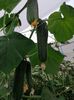 IMG-20230630-WA0026
