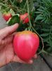 IMG-20230630-WA0020