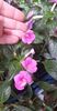 received_1010510893335709
