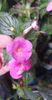 received_995842851675090