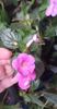 received_261454870219171