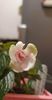 received_804941847276384