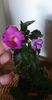 received_141520315690993