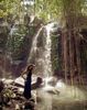 Buy a pet waterfall today, and get a free mountain !