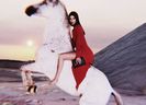 ༆20Oct،23=͟͟͞♡　　·◊· E̮x̮t̮r̮a̮: ᖽᐸendall ‹Stella McCartney, Winter, 2023.