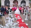 Porumbei albi la nunta