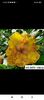 Screenshot_2023-09-28-01-54-44-558_com.facebook.katana