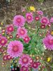 IMG-20231024-WA0016