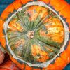 Dovleac - Courge - Squash