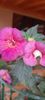 received_804642628128918