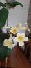 received_847701643565868