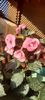 received_346128314765209