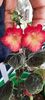 received_700687675360634