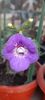 received_3492644460990352