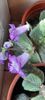 received_309263555198474