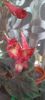received_985382682758751