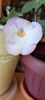 received_849632979982485