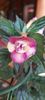 received_728914895947742