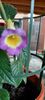 received_316145961160219