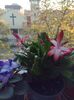 IMG-20231109-WA0005