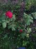 Img.2023.09.02