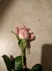 Img.2023.10.31