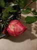 Img.2023.10.31