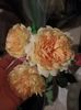 Img.2023.10.31