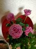 Img.2023.02.25