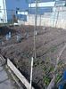 Img.2023.02.11