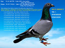 RO 21 1299167 F Pret fix 150 lei + transportul