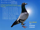 RO 21 1087348 F Pret 150 lei + transportul