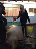 Ia-ți o femeie puternică, care strălucește în partid