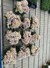 IMG-20231114-WA0001
