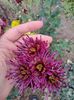 received_178492631920657