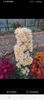 received_1059043822196459