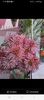 received_2028932340807261