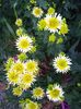 IMG-20231208-WA0043