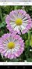IMG-20231208-WA0033