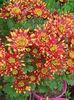 IMG-20231208-WA0031